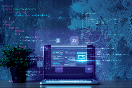 Custom Web Portal Development