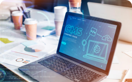 Custom CMS Web App Development